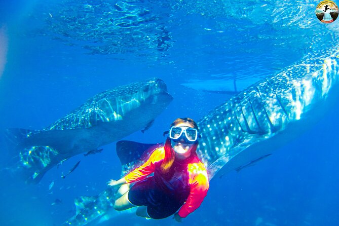 Whale Shark Swimming, Tumalog Falls and Kawasan Canyoneering - Tumalog Falls brings a quieter half hour