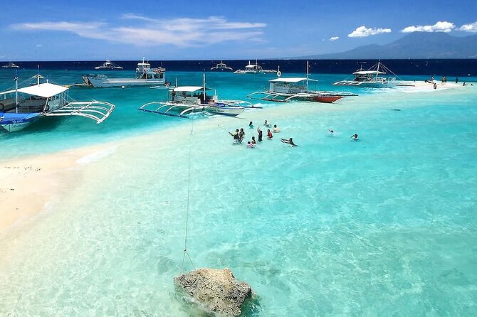 Whale Watching in Sumilon Island with Ocean View Resort and Lunch - Key points to know before booking