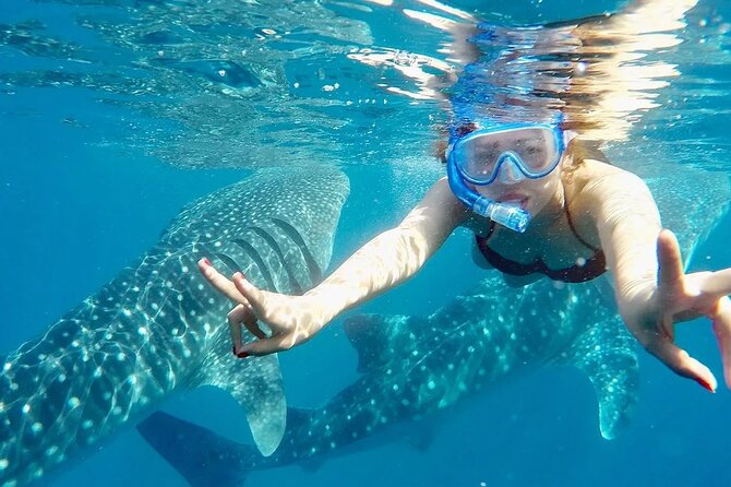 Whale Watching in Sumilon Island with Ocean View Resort and Lunch - Why this Cebu day trip works