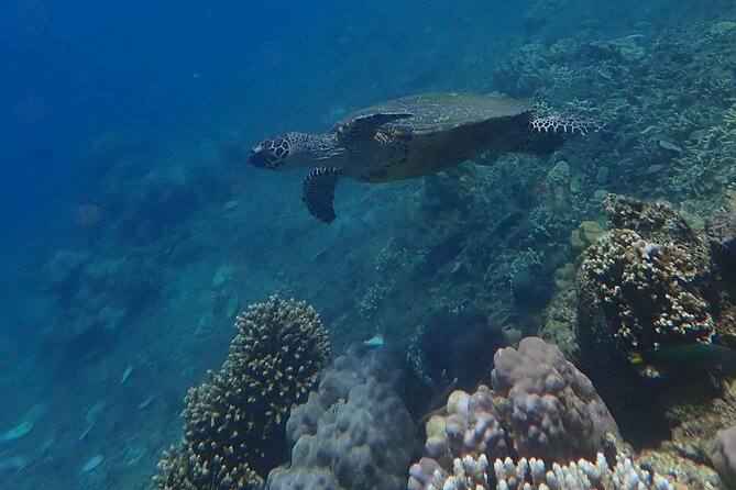 Wonderful Snorkeling Trip from Manila! updated 2023*** - Leaving Manila for Anilao
